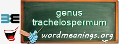 WordMeaning blackboard for genus trachelospermum